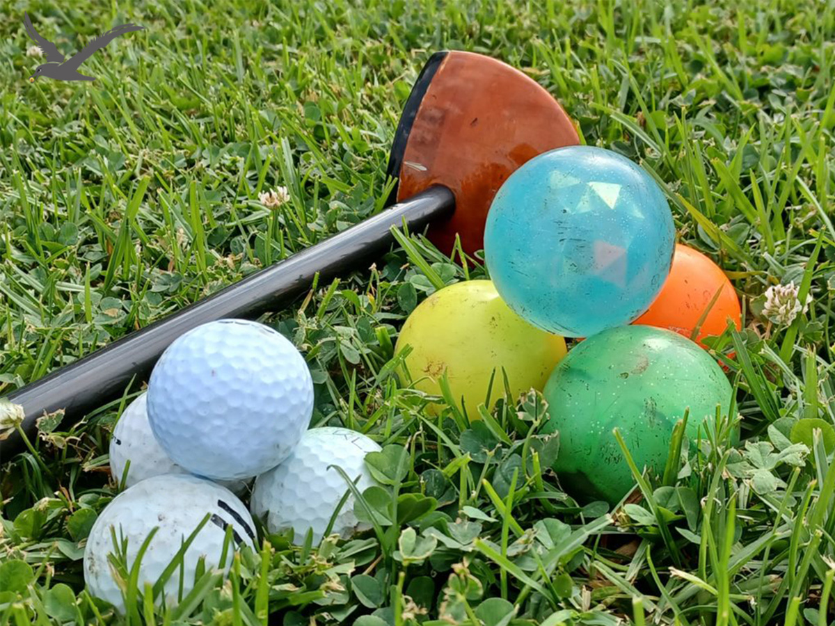 A park golfgolyók sokfélesége